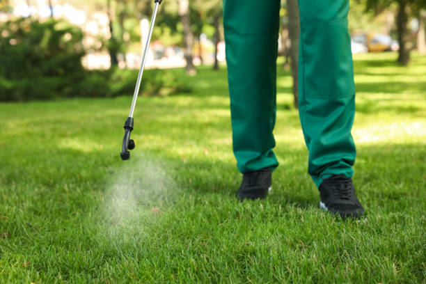 Best Best Pest Control Companies  in Louisville, KY