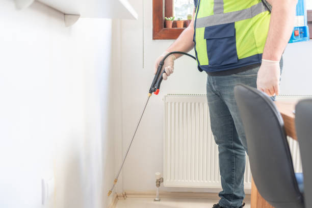 Best Wasp Removal Services  in Louisville, KY