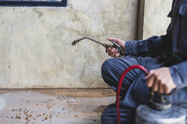 Best Affordable Pest Control Services  in Louisville, KY